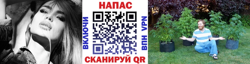 Купить где  Апрелевка  МАРИХУАНА White Widow 